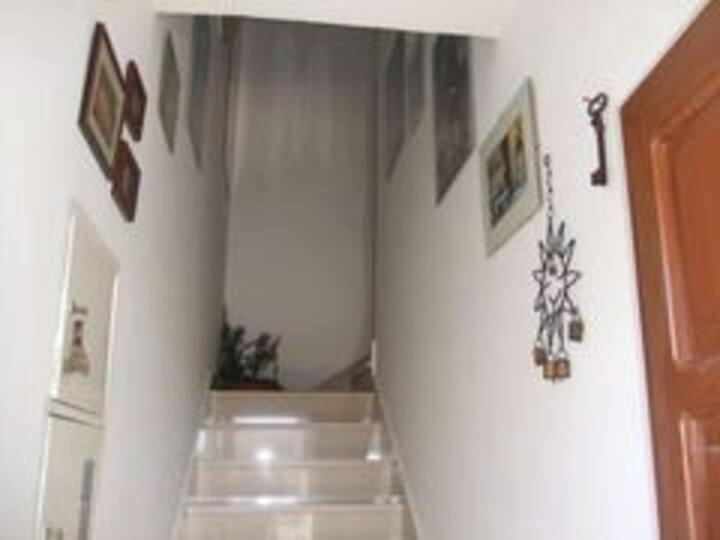 Apartment Biljana Bol Exterior photo